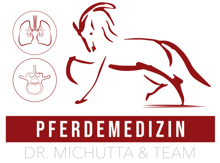 Pferdemedizin Dr. Michutta & Team